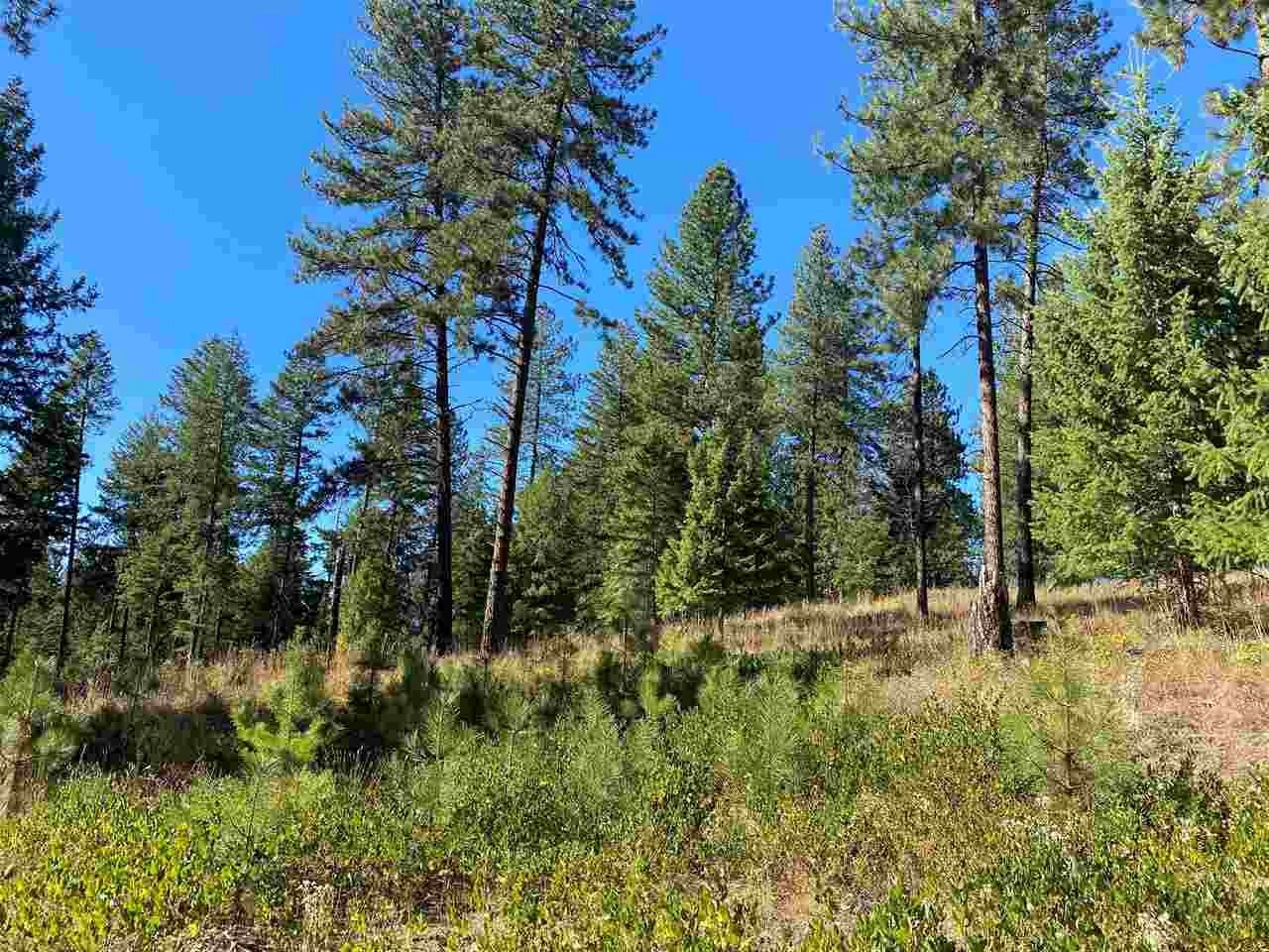 0 North Dunn Road Elk, WA 99009 - Photo 12 of 14