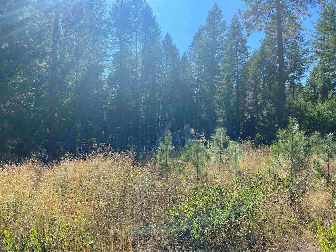 0 North Dunn Road Elk, WA 99009 - Photo 14 of 14