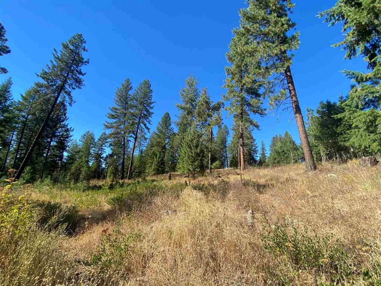 0 North Dunn Road Elk, WA 99009 - Photo 3 of 14