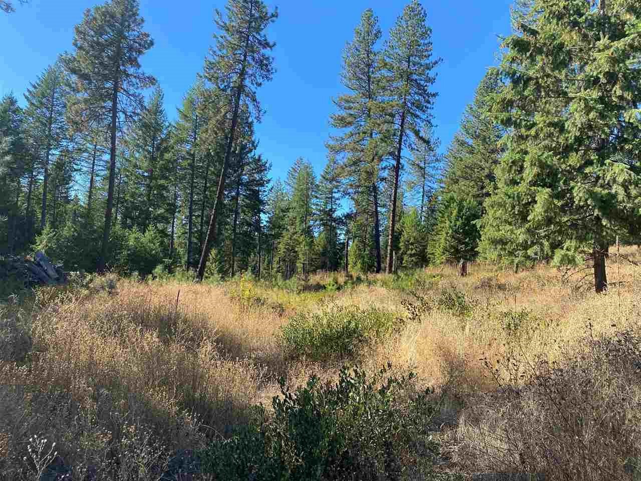 0 North Dunn Road Elk, WA 99009 - Photo 4 of 14
