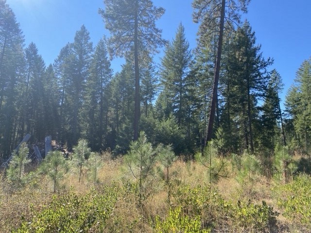 0 North Dunn Road Elk, WA 99009 - Photo 5 of 14