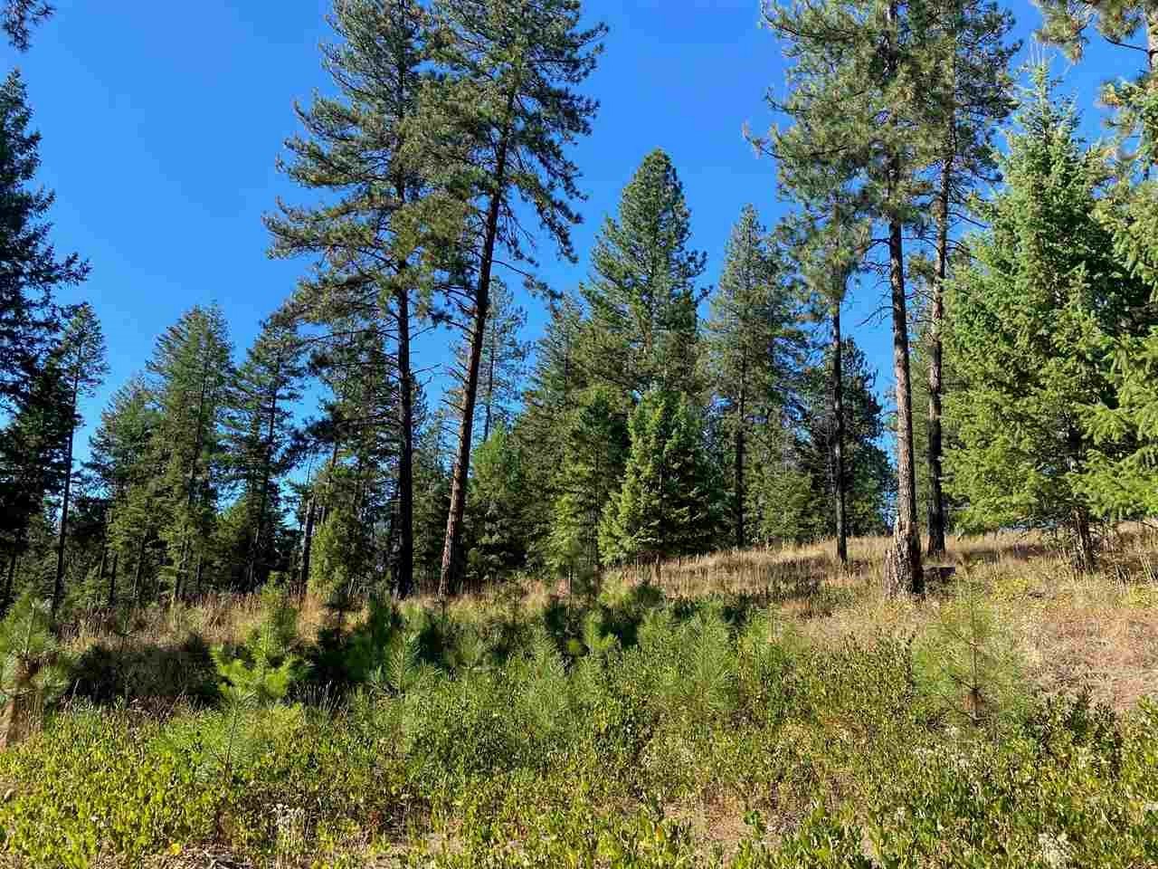 0 North Dunn Road Elk, WA 99009 - Photo 6 of 14