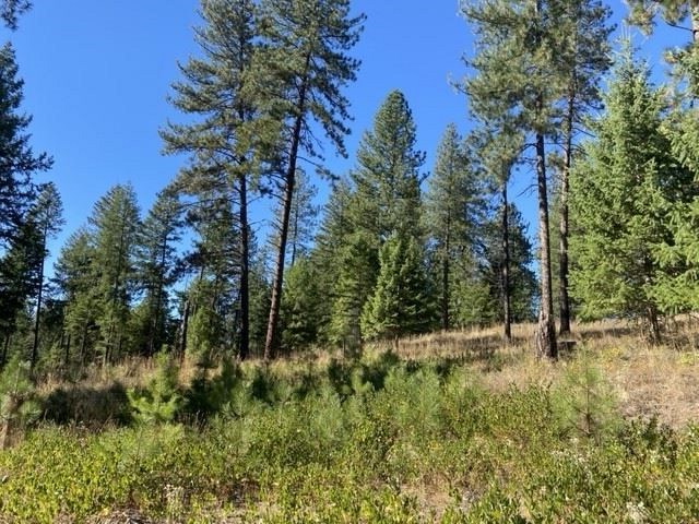 0 North Dunn Road Elk, WA 99009 - Photo 10 of 14