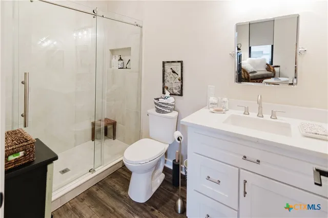 a bathroom with a sink toilet a mirror and shower