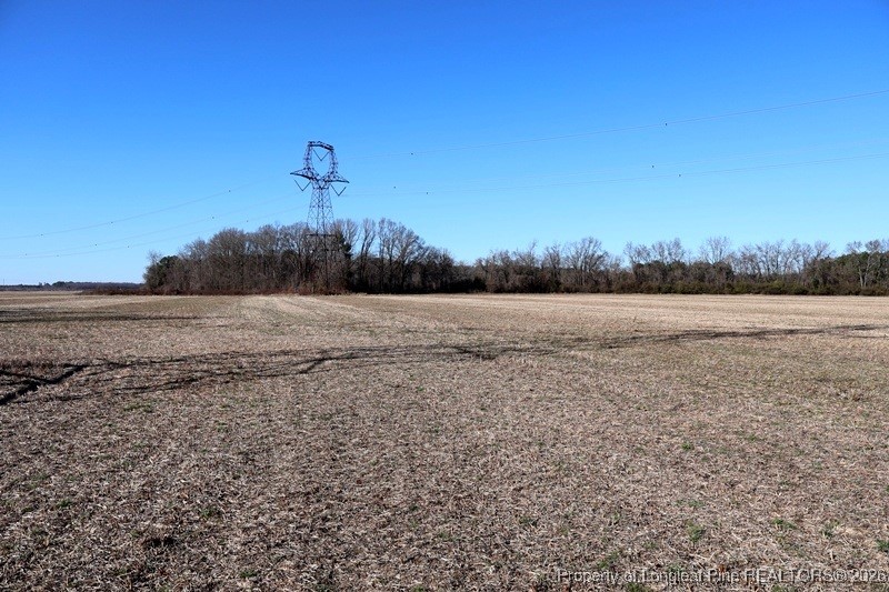 Tbd South Old Wire Road Maxton, NC 28364 - Photo 20 of 38