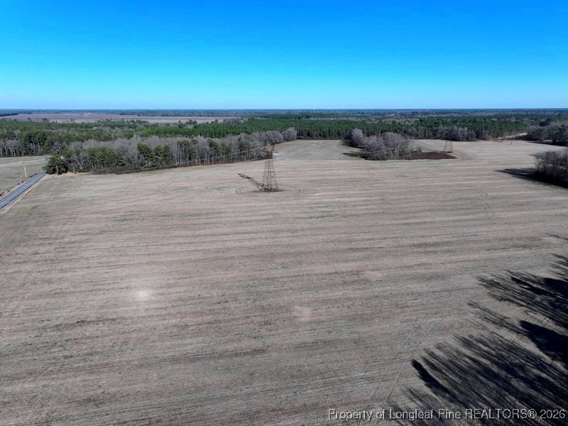 Tbd South Old Wire Road Maxton, NC 28364 - Photo 2 of 38