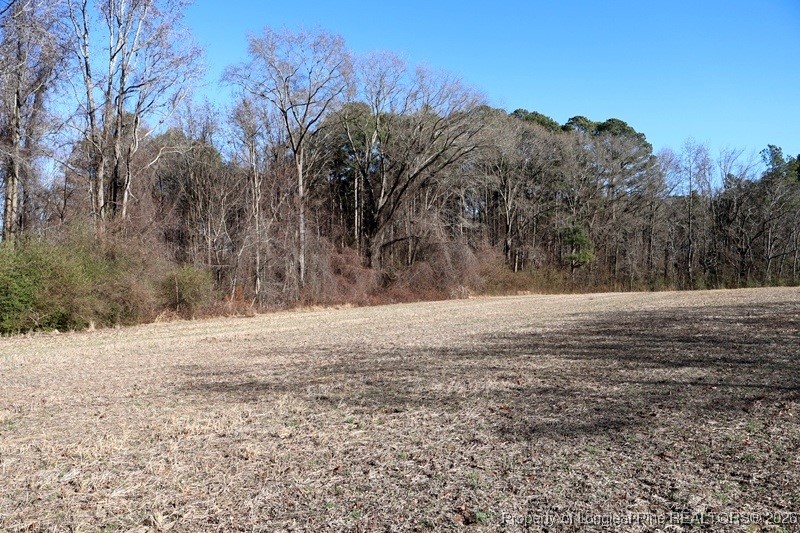 Tbd South Old Wire Road Maxton, NC 28364 - Photo 24 of 38