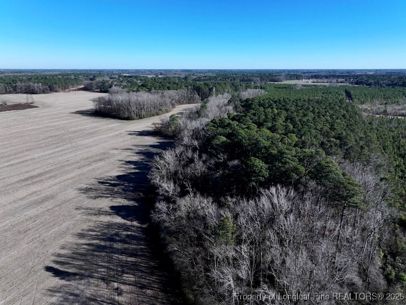 Tbd South Old Wire Road Maxton, NC 28364 - Photo 3 of 38