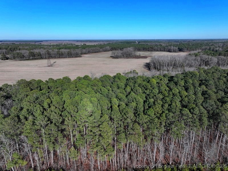 Tbd South Old Wire Road Maxton, NC 28364 - Photo 4 of 38