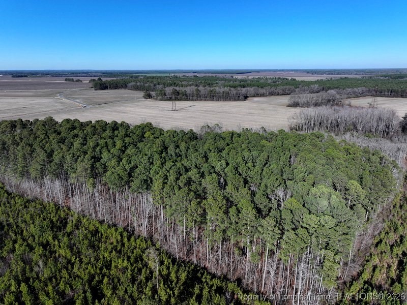 Tbd South Old Wire Road Maxton, NC 28364 - Photo 5 of 38