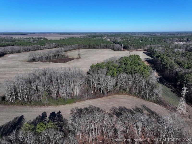 Tbd South Old Wire Road Maxton, NC 28364 - Photo 6 of 38