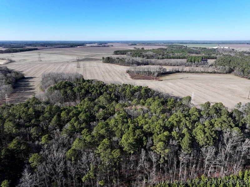 Tbd South Old Wire Road Maxton, NC 28364 - Photo 8 of 38
