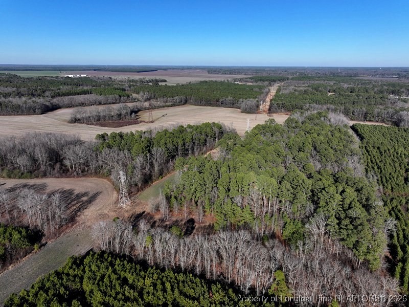 Tbd South Old Wire Road Maxton, NC 28364 - Photo 9 of 38