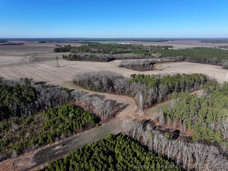 Tbd South Old Wire Road Maxton, NC 28364 - Photo 10 of 38