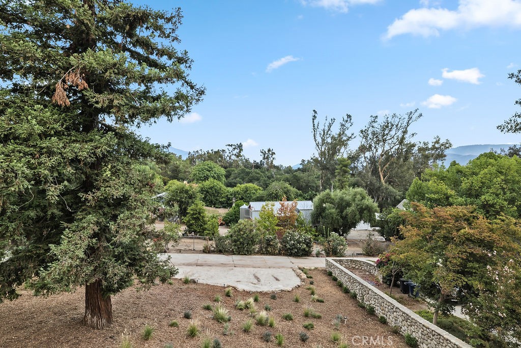 275 Fairview Road Ojai, CA 93023 - Photo 64 of 74 a view of a yard with plants and trees
