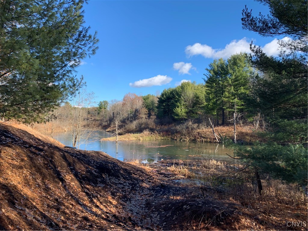 23610 Fetterly Road Brownville, NY 13634 - Photo 47 of 50