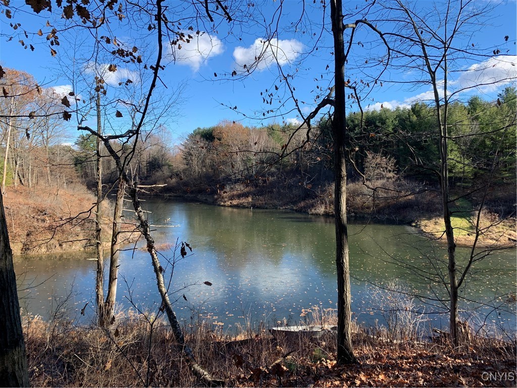 23610 Fetterly Road Brownville, NY 13634 - Photo 48 of 50