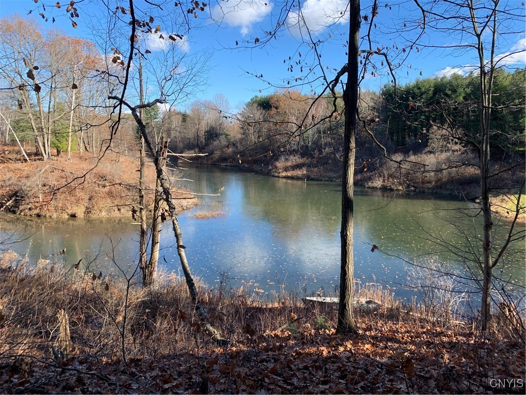 23610 Fetterly Road Brownville, NY 13634 - Photo 49 of 50