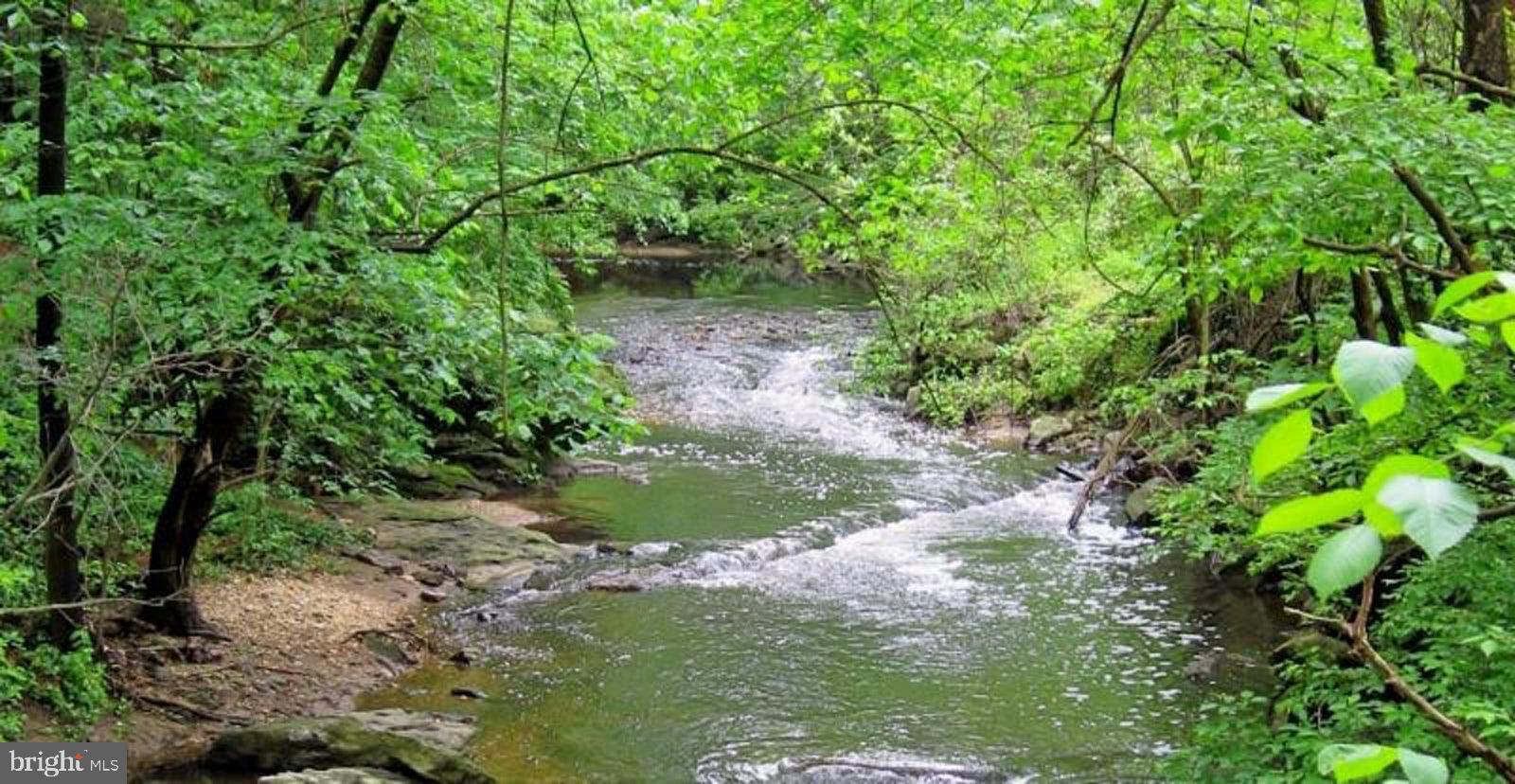 9005 Manchester Road Silver Spring, MD 20901 - Photo 25 of 30