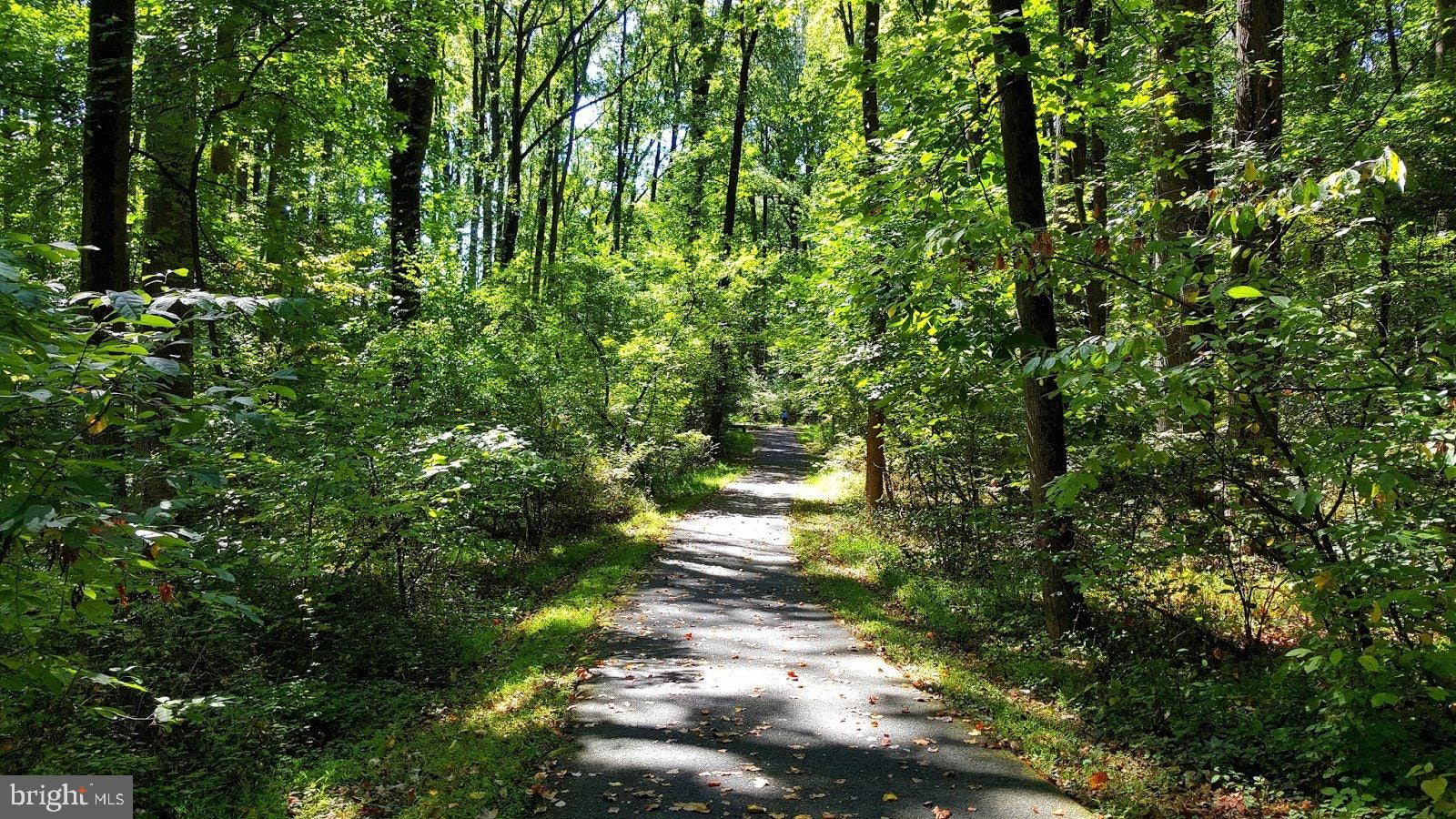 9005 Manchester Road Silver Spring, MD 20901 - Photo 26 of 30