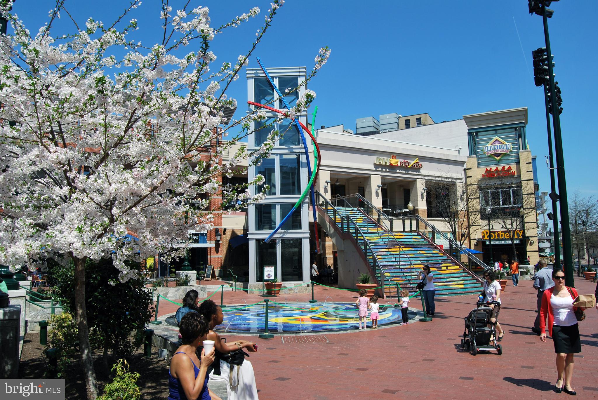 9005 Manchester Road Silver Spring, MD 20901 - Photo 29 of 30