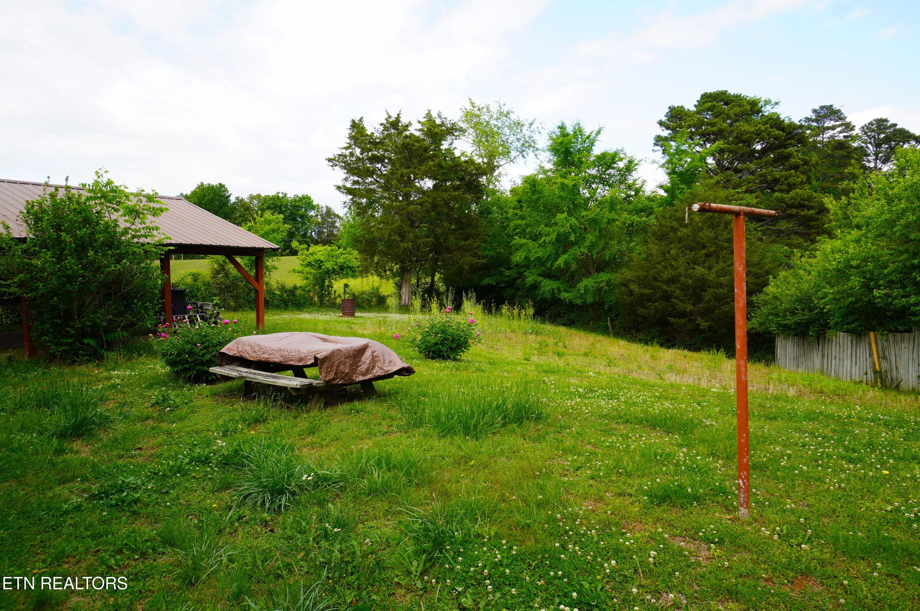 412 Jimtown Road Newport, TN 37821 - Photo 23 of 30 Backyard