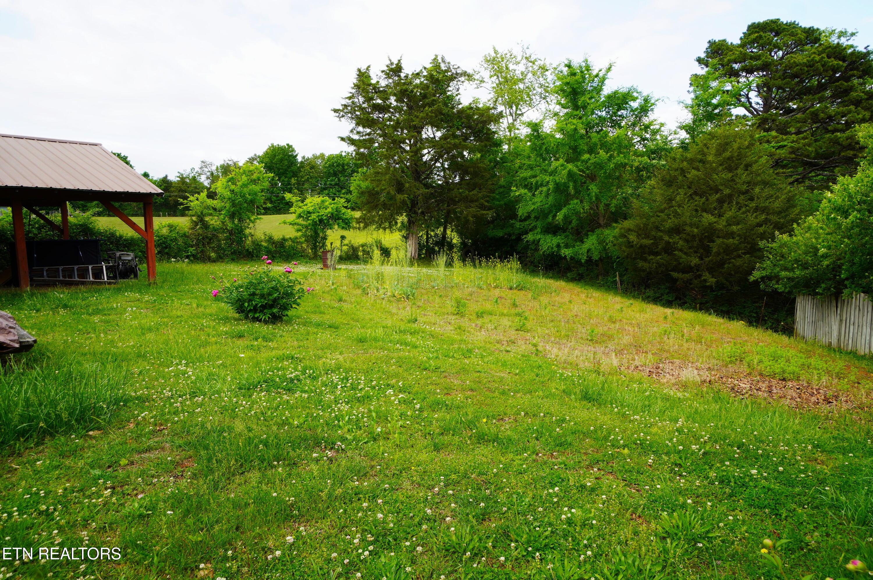 412 Jimtown Road Newport, TN 37821 - Photo 24 of 30 Backyard