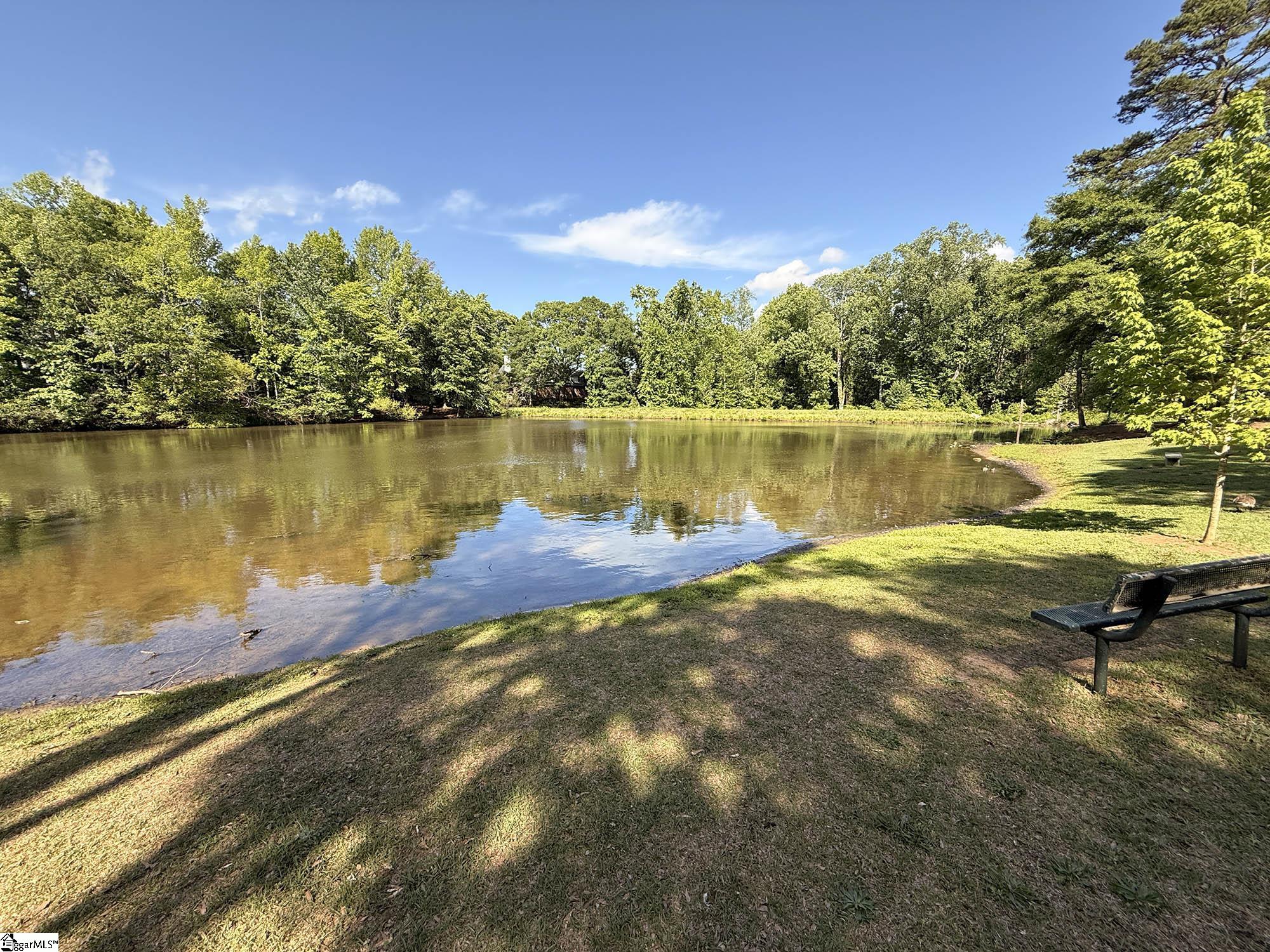 112 Canebrake Drive Greer, SC 29650 - Photo 29 of 30