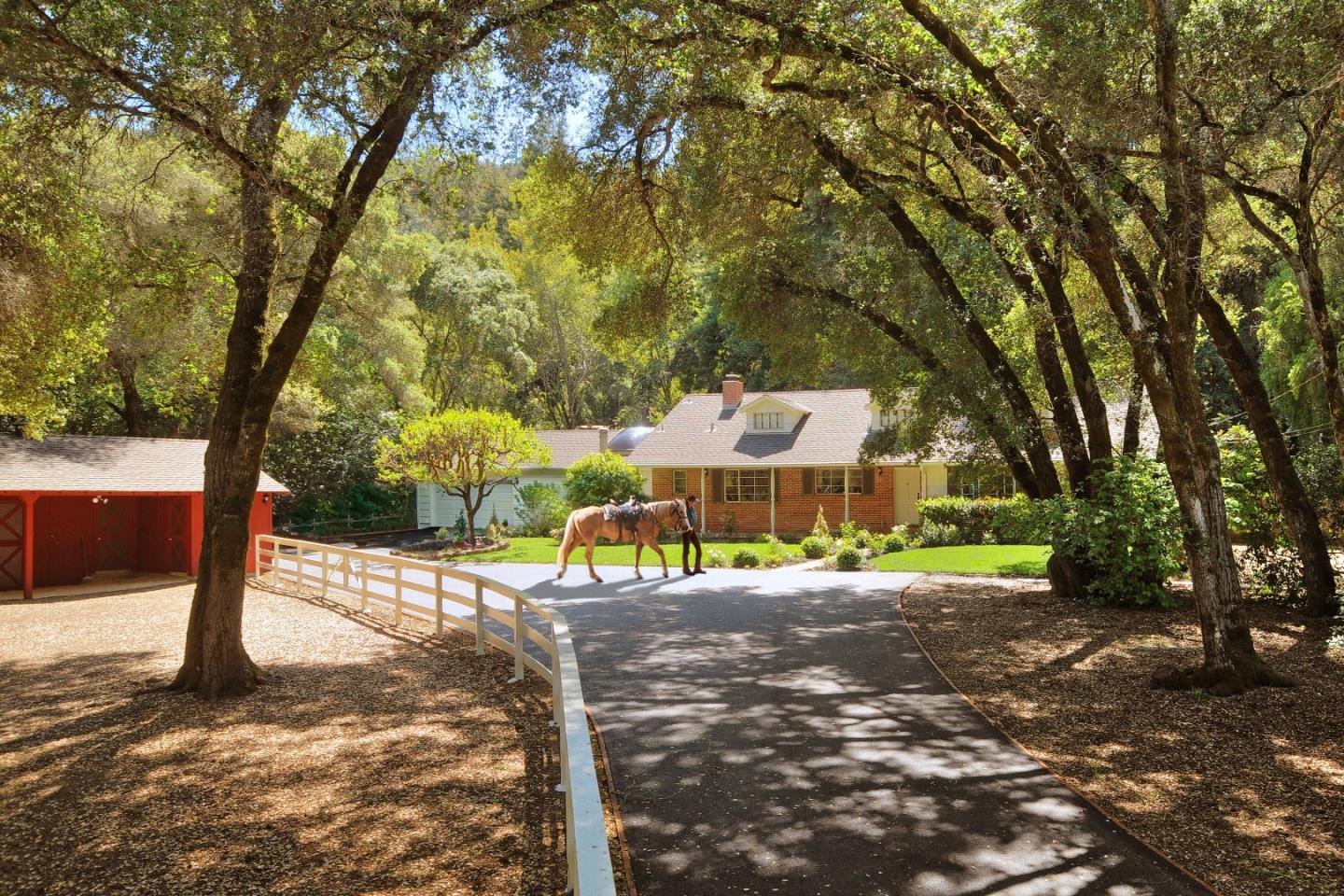 3470 Tripp Road Woodside, CA 94062 - Photo 1 of 34 a view of a yard with plants and trees