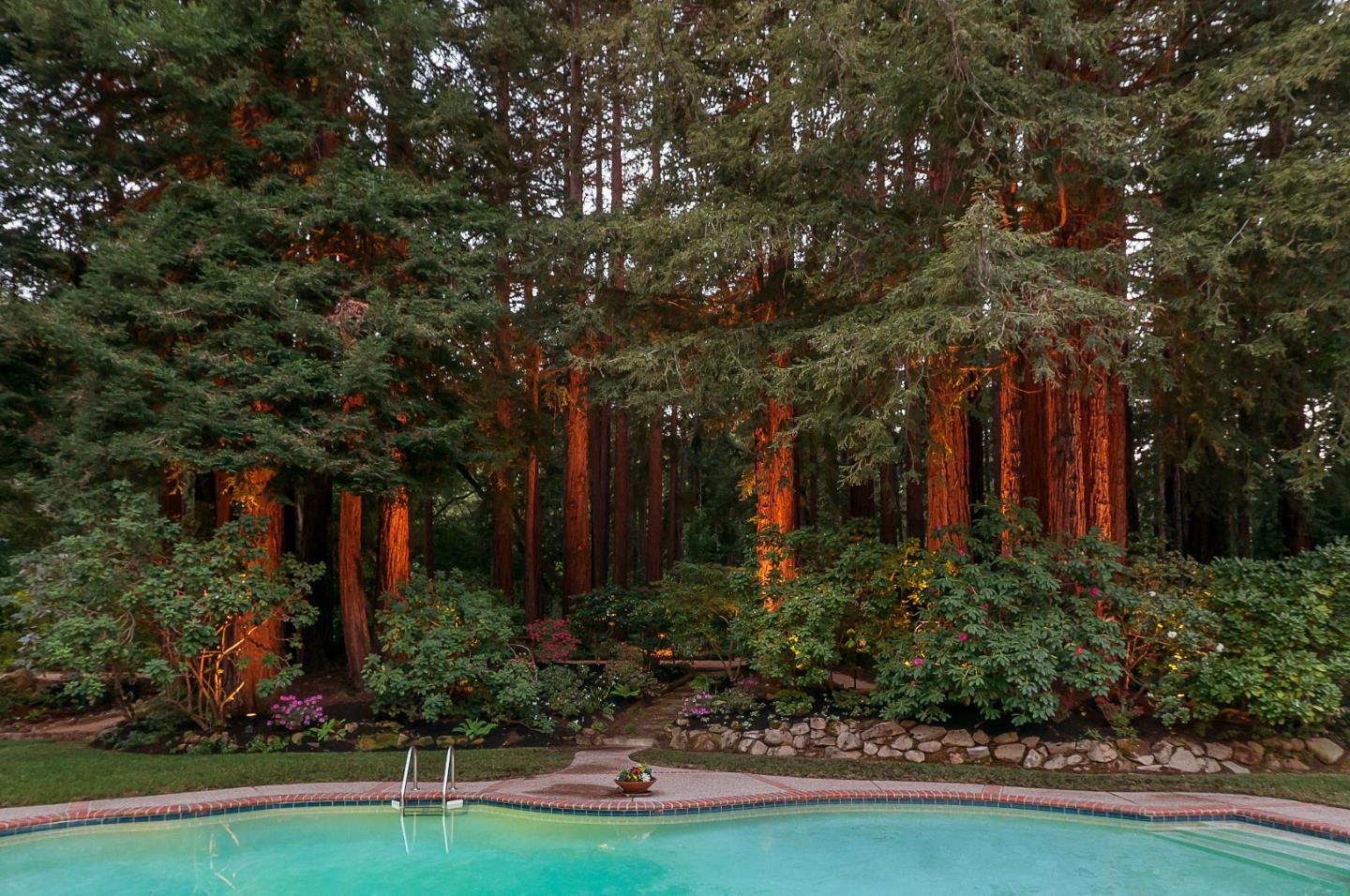 3470 Tripp Road Woodside, CA 94062 - Photo 29 of 34 a view of a backyard with plants and large trees