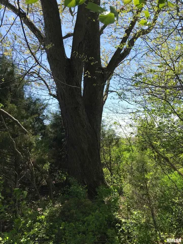 $34,500 | 0 North 1900th Street, Dieterich, IL 62424