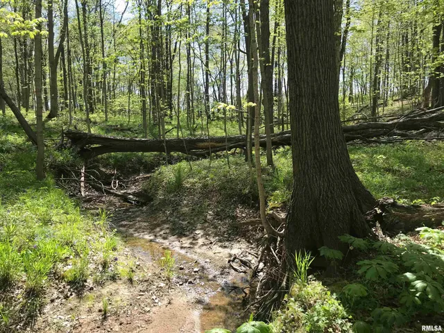 $34,500 | 0 North 1900th Street, Dieterich, IL 62424