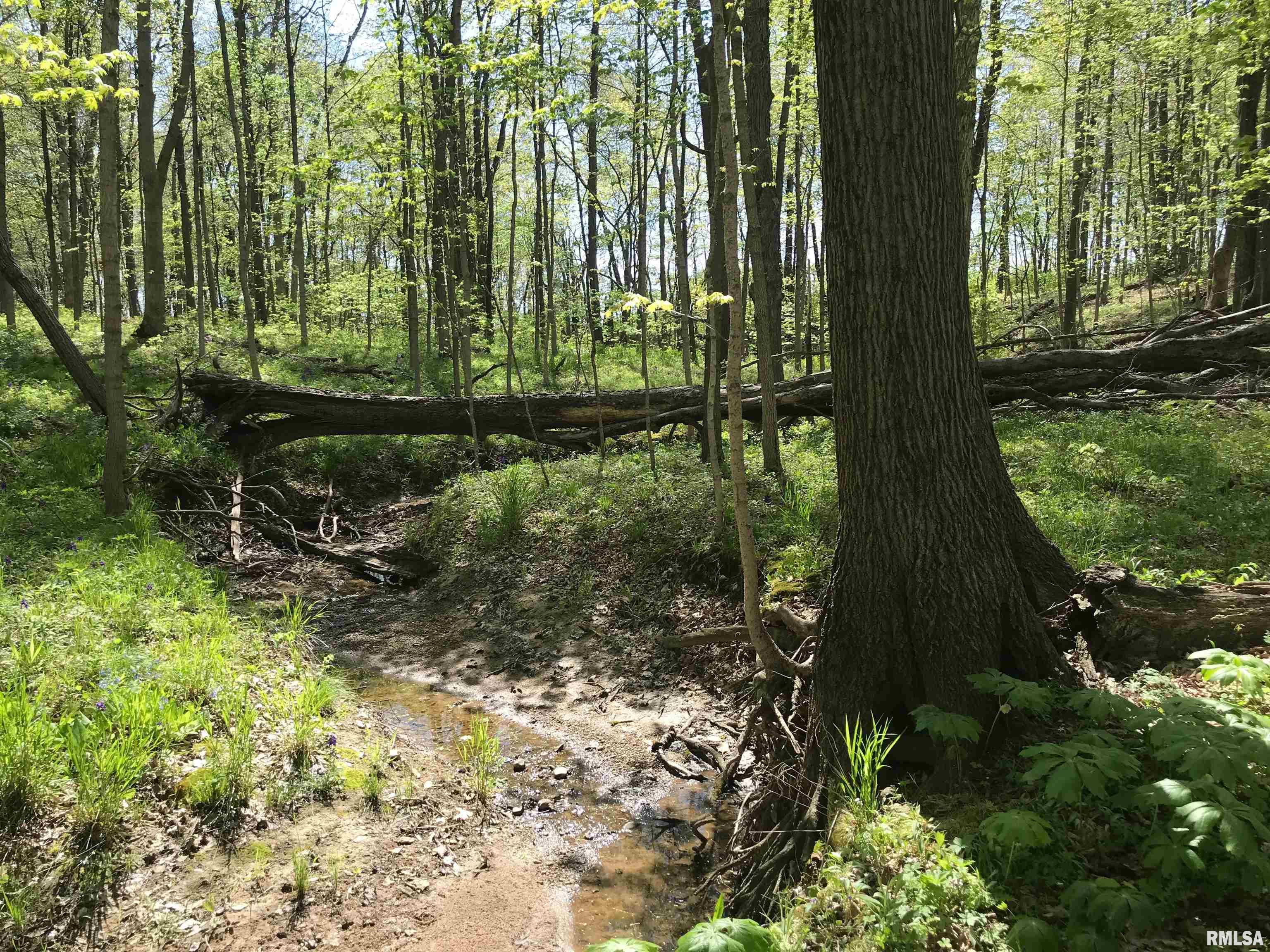 0 North 1900th Street Dieterich, IL 62424 - Photo 2 of 12