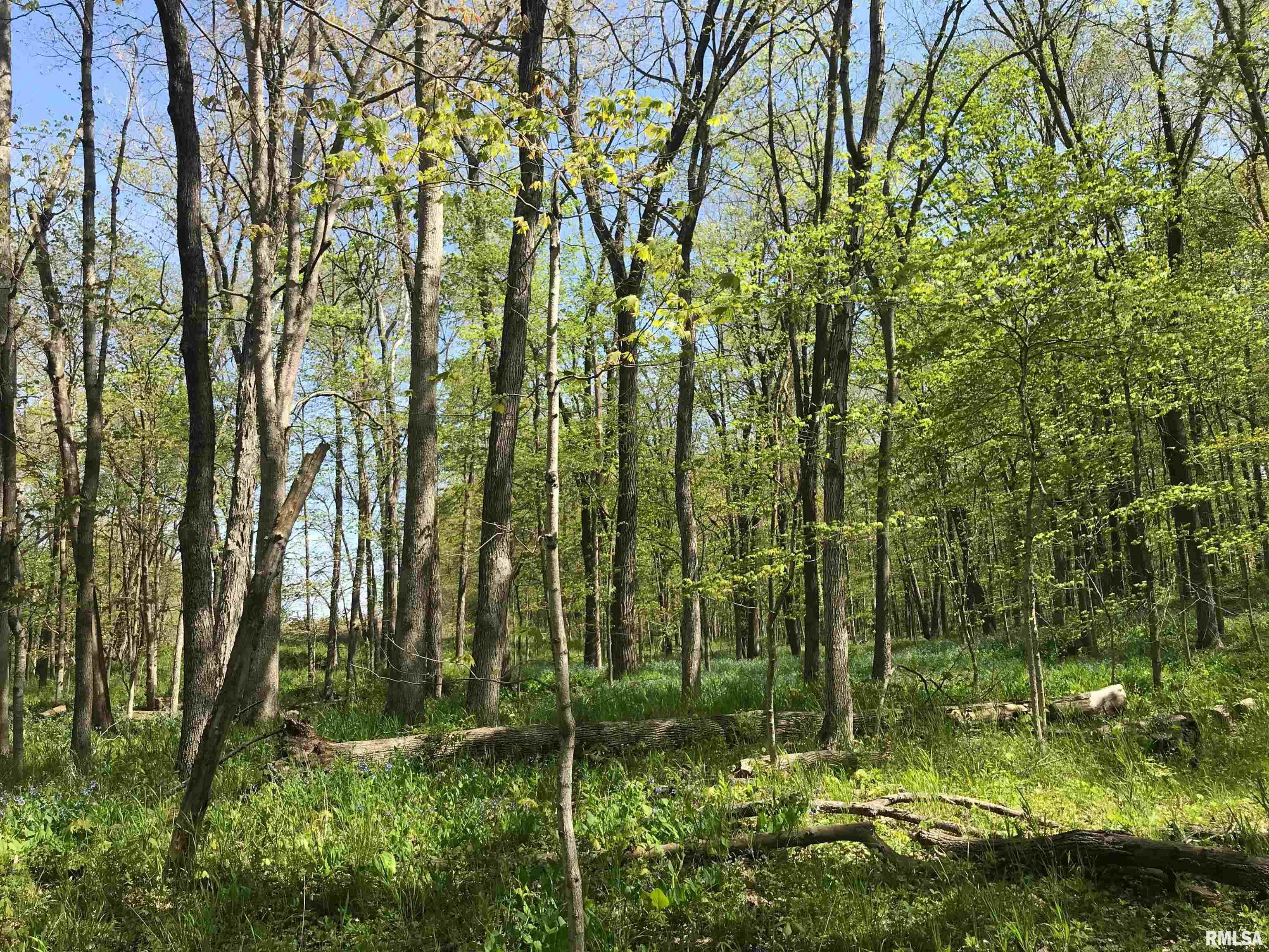 0 North 1900th Street Dieterich, IL 62424 - Photo 3 of 12