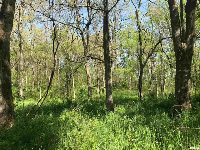 $34,500 | 0 North 1900th Street, Dieterich, IL 62424