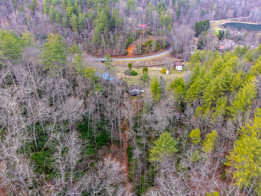 1107 Panther Creek Road Almond, NC 28702 - Photo 51 of 52
