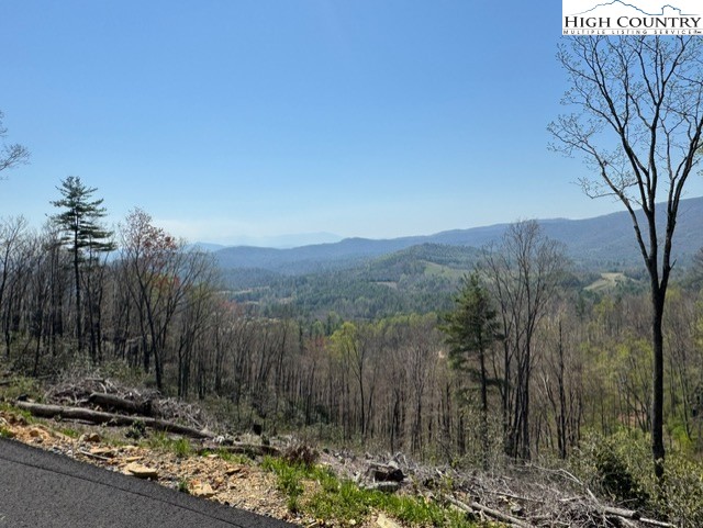 Mount Mitchell Drive Newland, NC 28657 - Photo 2 of 10 a view of a backyard with trees