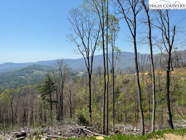 Mount Mitchell Drive Newland, NC 28657 - Photo 4 of 10 a view of a outdoor space