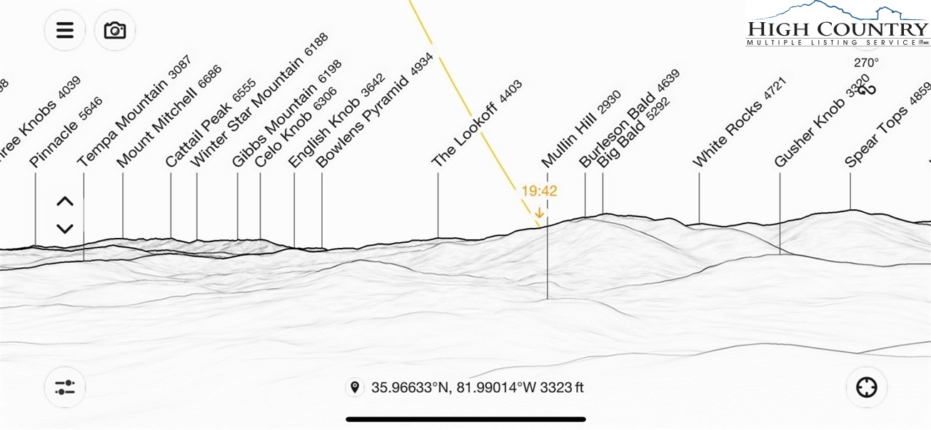 Mount Mitchell Drive Newland, NC 28657 - Photo 10 of 10 a picture of a door with a tree