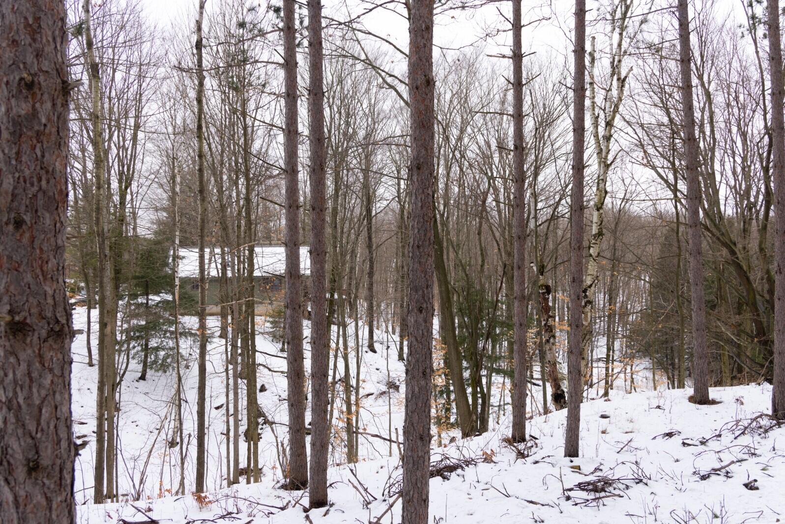 13402 15 Mile Road Leroy, MI 49655 - Photo 27 of 68 23a