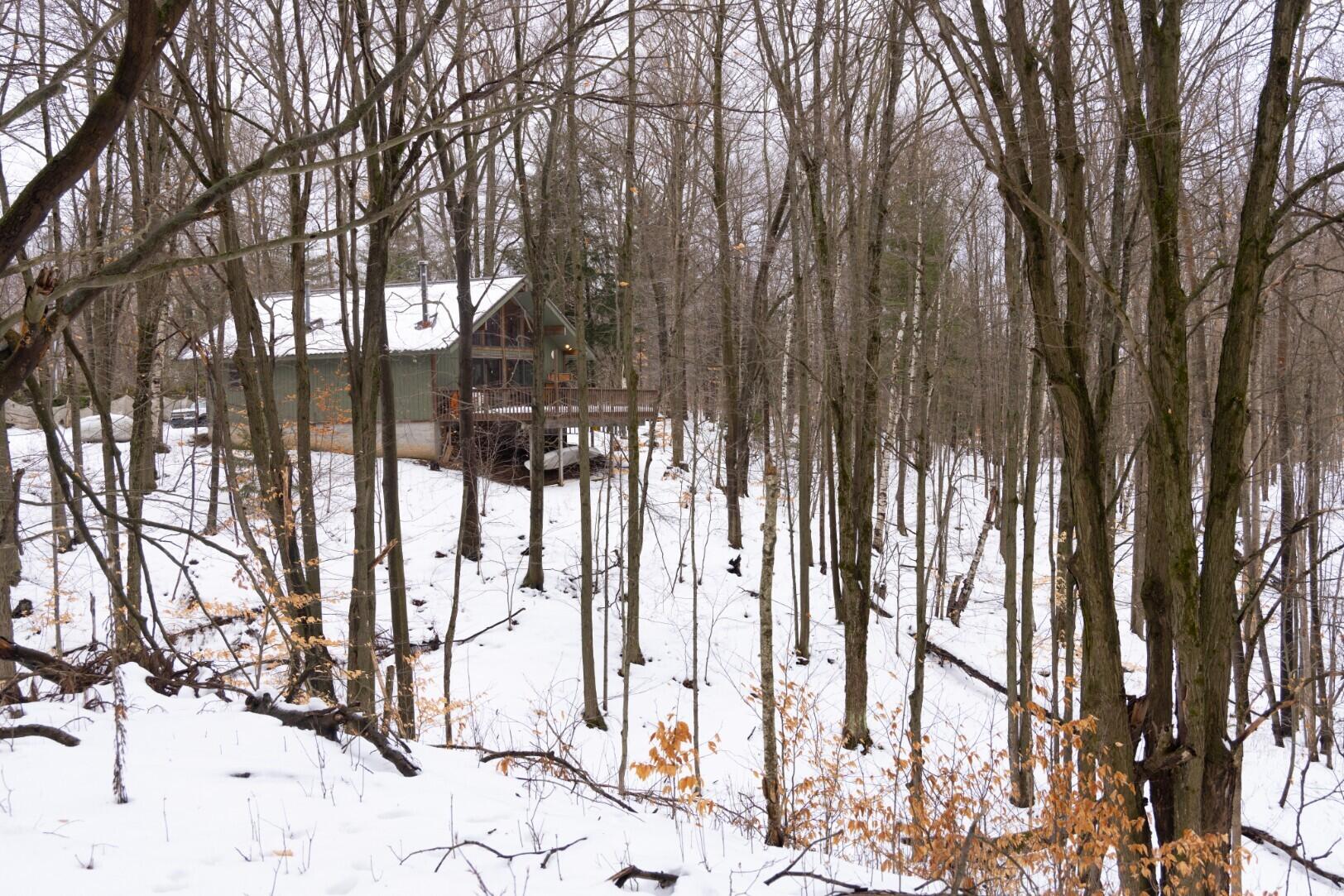 13402 15 Mile Road Leroy, MI 49655 - Photo 28 of 68 24