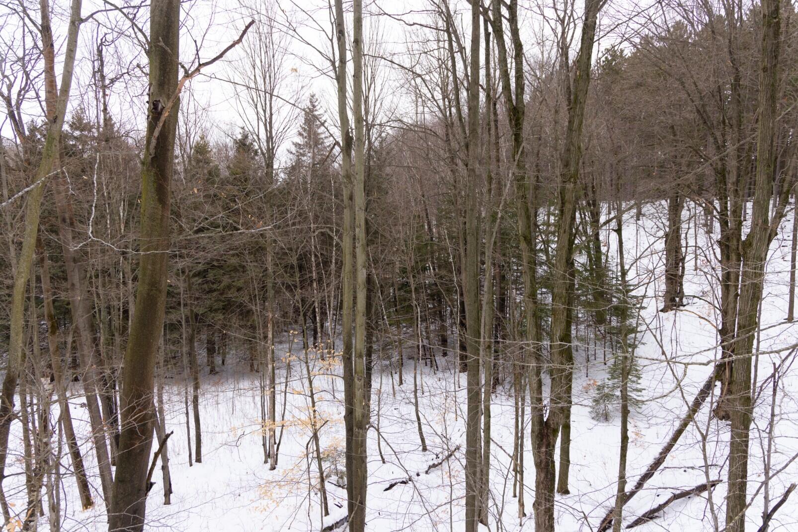 13402 15 Mile Road Leroy, MI 49655 - Photo 29 of 68 25