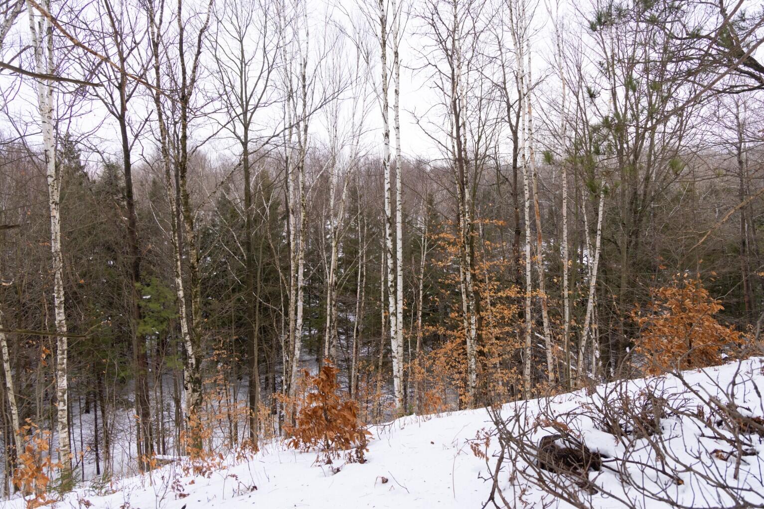 13402 15 Mile Road Leroy, MI 49655 - Photo 34 of 68 30