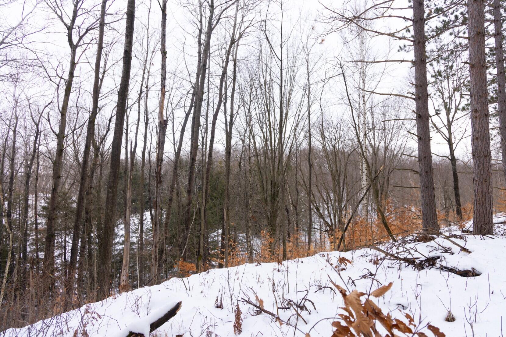 13402 15 Mile Road Leroy, MI 49655 - Photo 35 of 68 31
