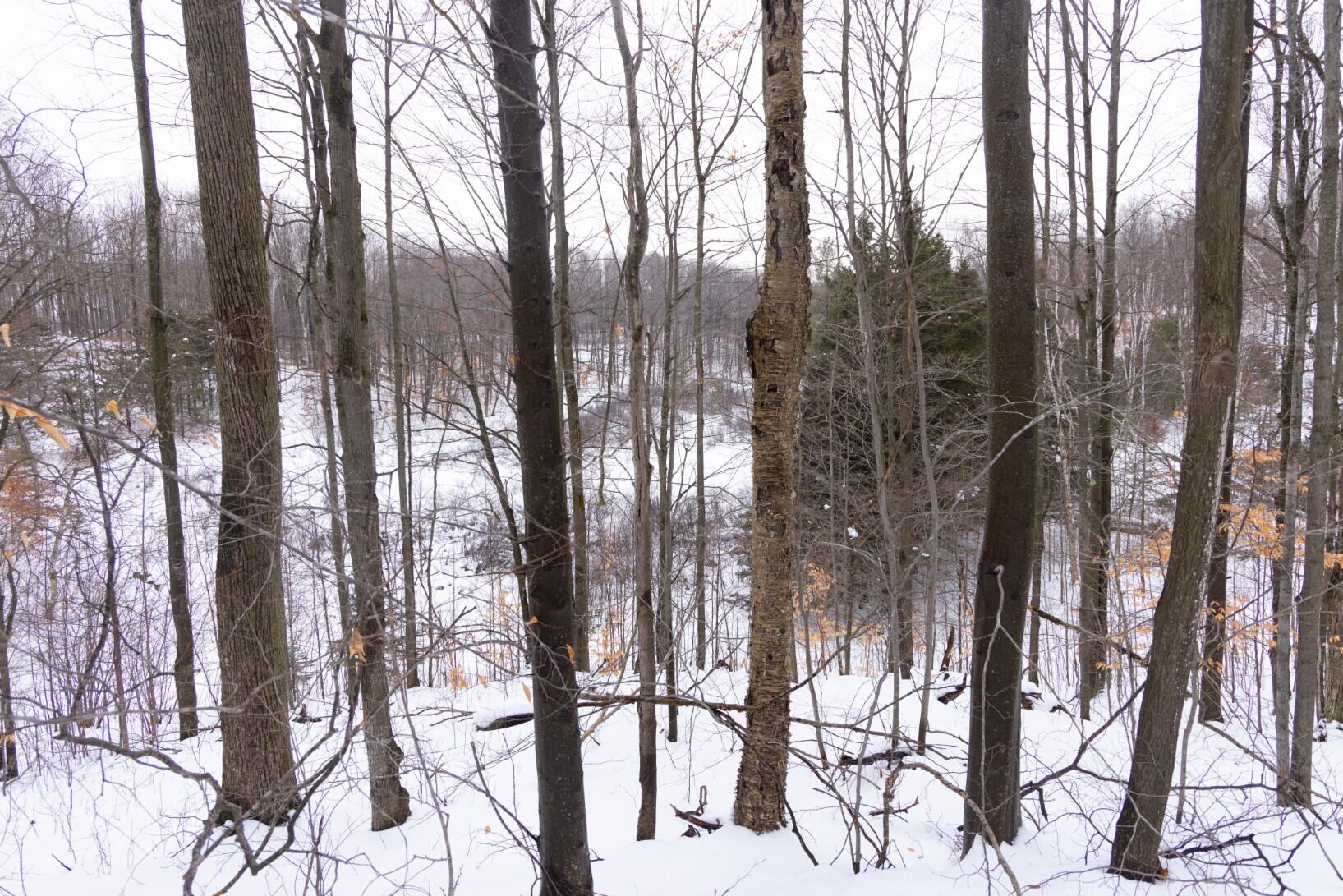 13402 15 Mile Road Leroy, MI 49655 - Photo 38 of 68 34