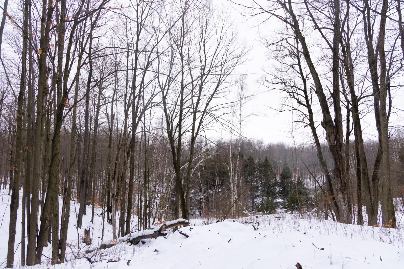 13402 15 Mile Road Leroy, MI 49655 - Photo 41 of 68 37