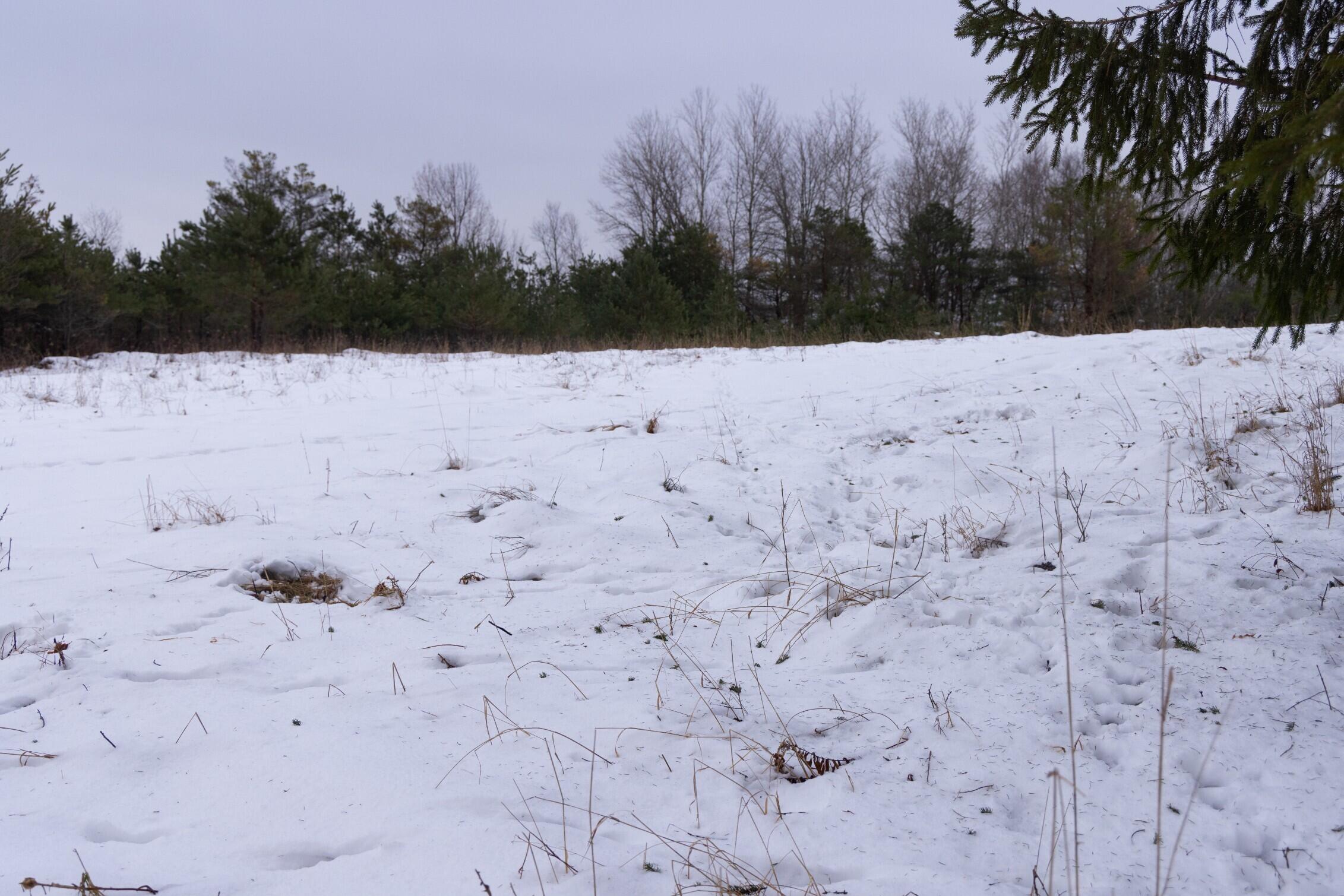 13402 15 Mile Road Leroy, MI 49655 - Photo 43 of 68 39