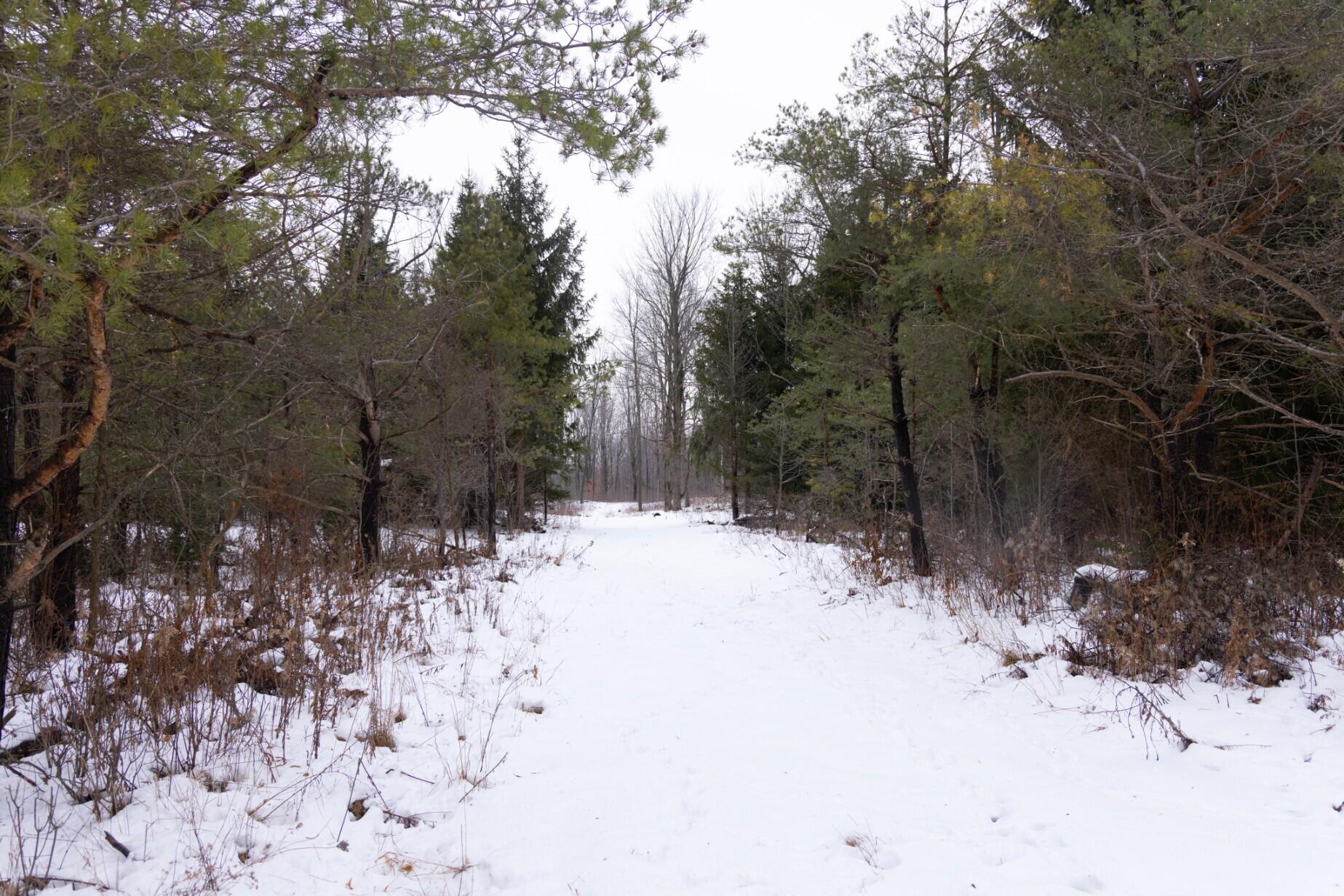 13402 15 Mile Road Leroy, MI 49655 - Photo 45 of 68 41