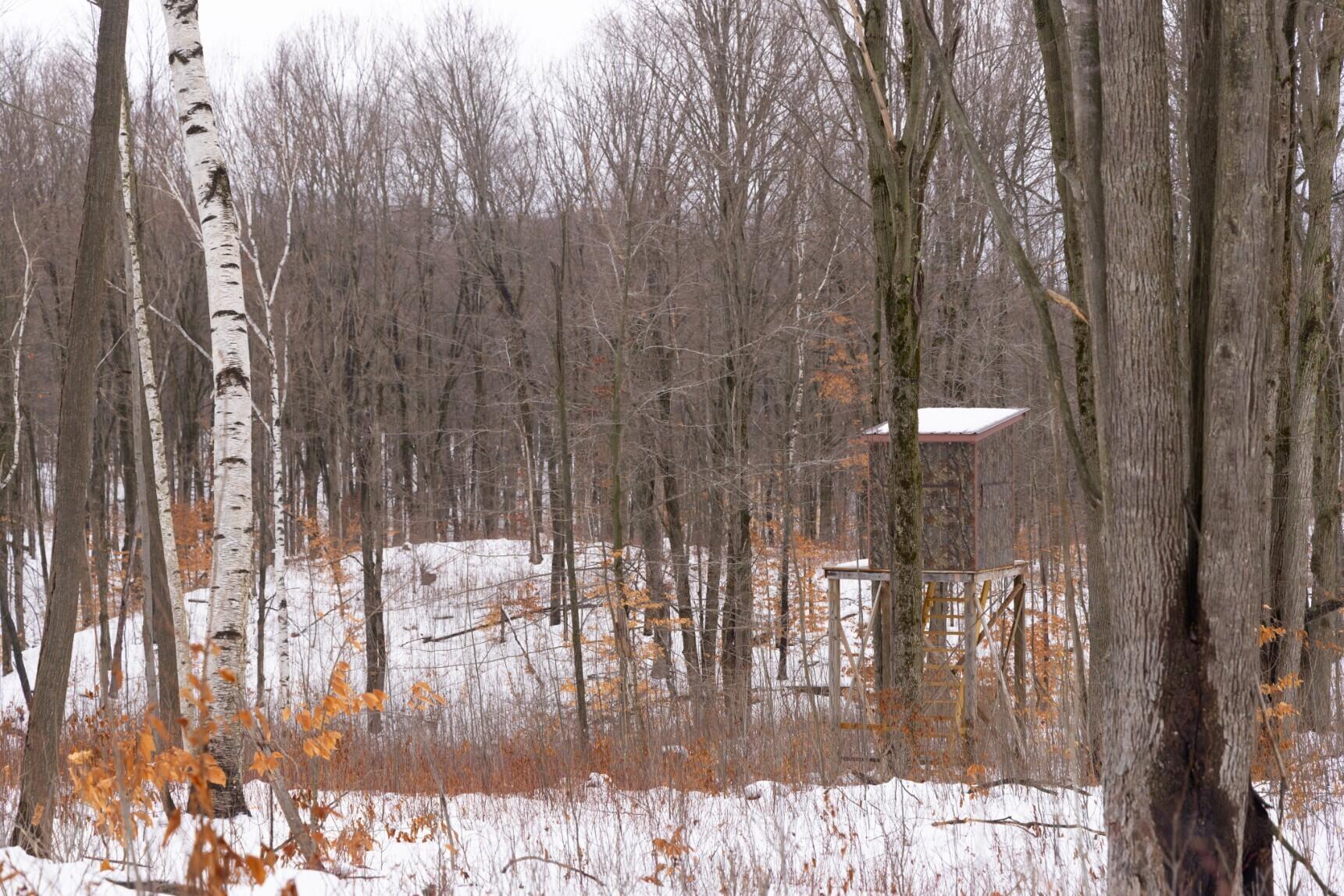 13402 15 Mile Road Leroy, MI 49655 - Photo 47 of 68 43