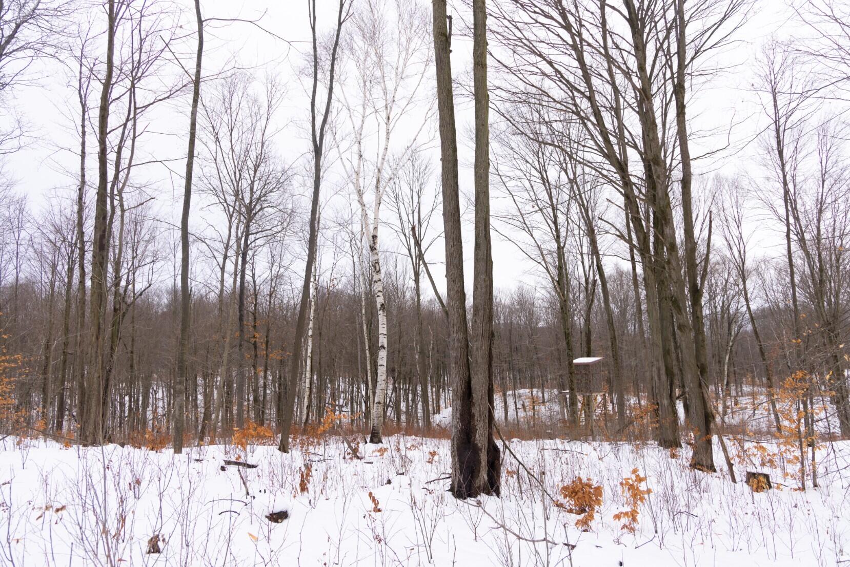 13402 15 Mile Road Leroy, MI 49655 - Photo 48 of 68 44